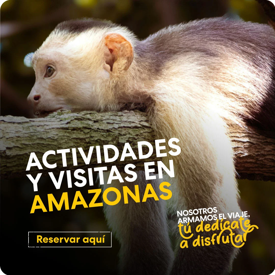 actividades en Amazonas