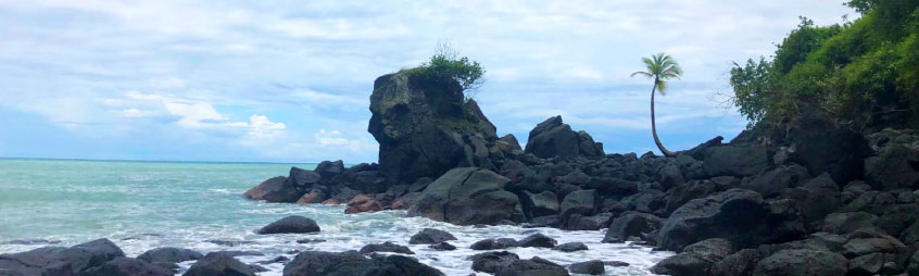 gorgona 