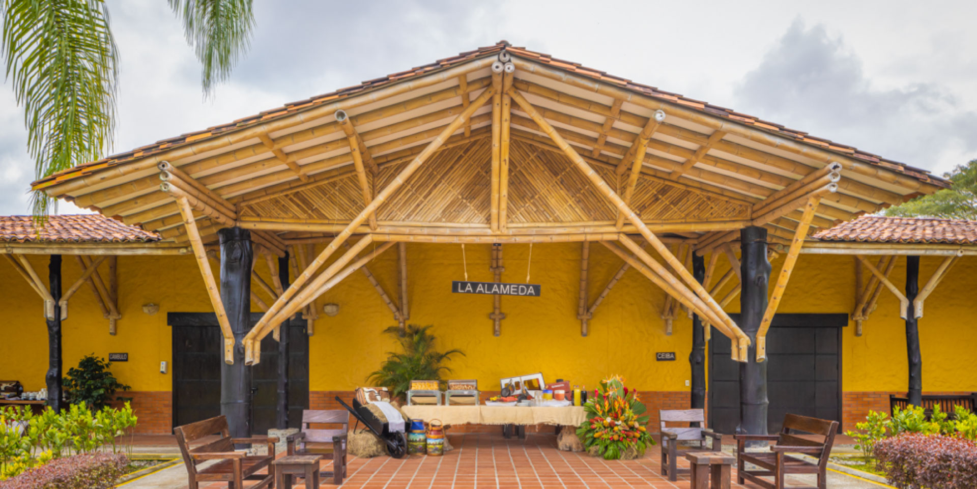DECAMERON PANACA
