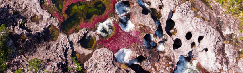 caño cristales