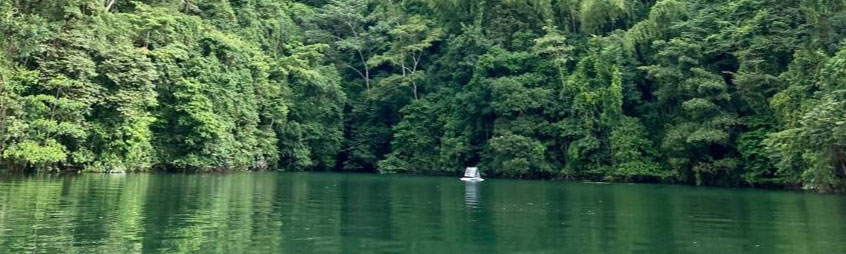 rio la miel