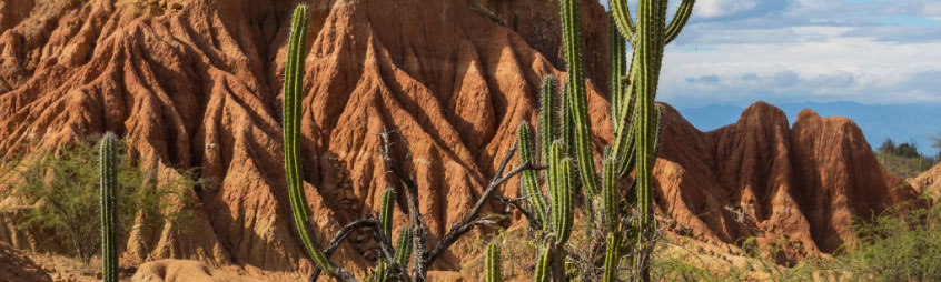 desierto la tatacoa
