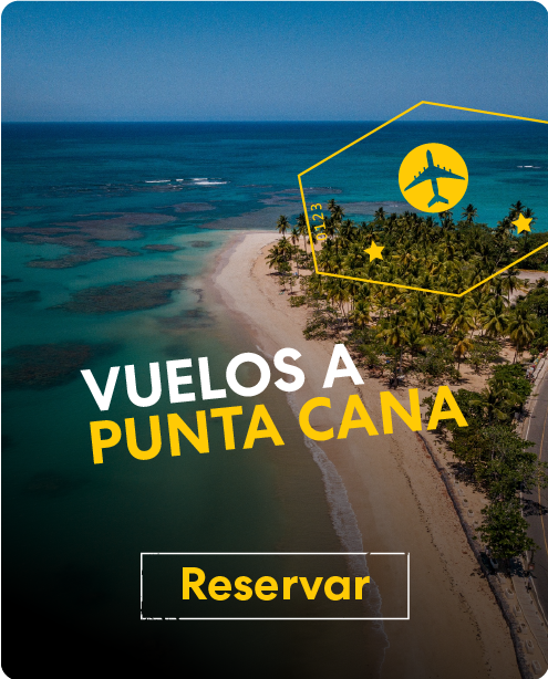 vuelo a punta cana